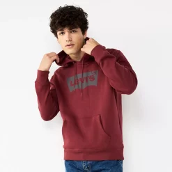Men's Levi's® Standard Graphic Hoodie